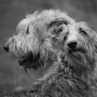 Obrázek uživatele StejskalovaMarketa Obrázek uživatele StejskalovaMarketa